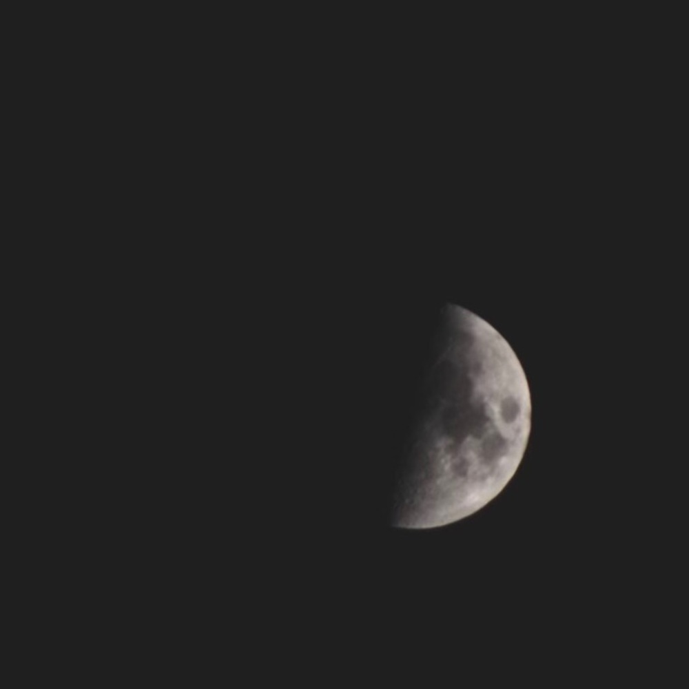 Meet your Posher, Mylee